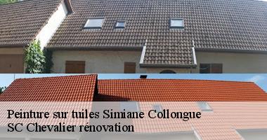 SC Chevalier rénovation : Spécialiste en peinture sur tuiles à Simiane Collongue